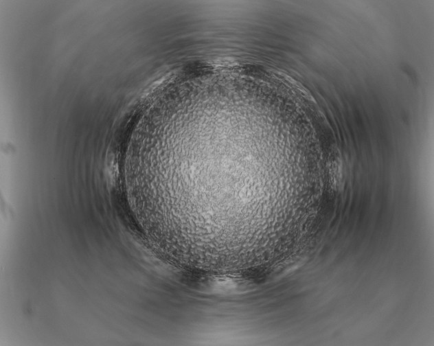 X0000091100618200708061421