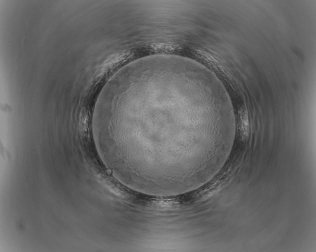 X0000091100619200708061421