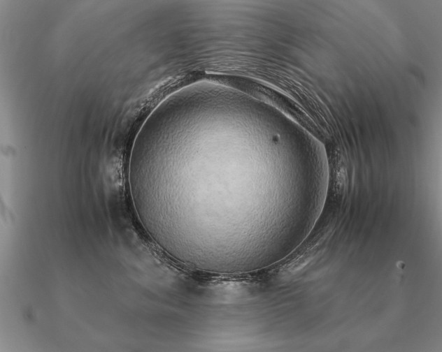 X0000091100620200708061421