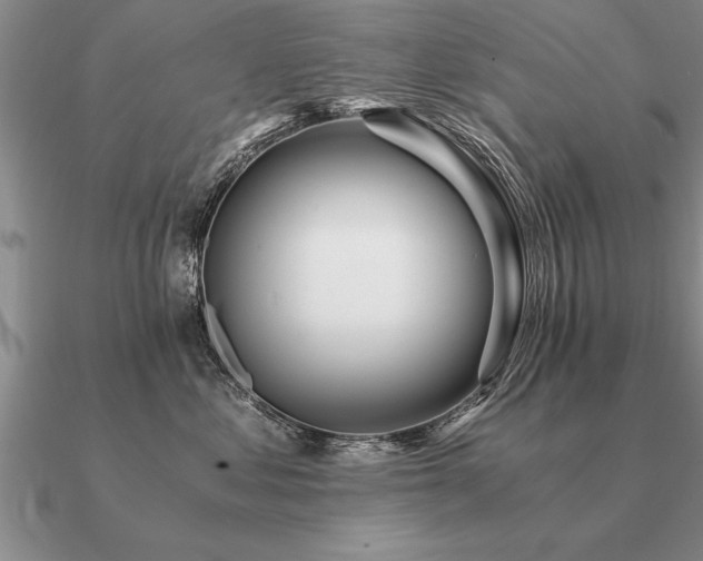 X0000091100621200708061421