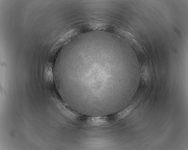 X0000091100622200708061421