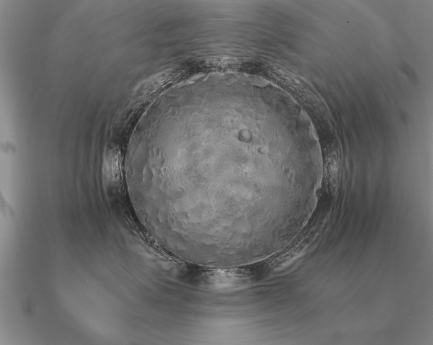 X0000091100623200708061421