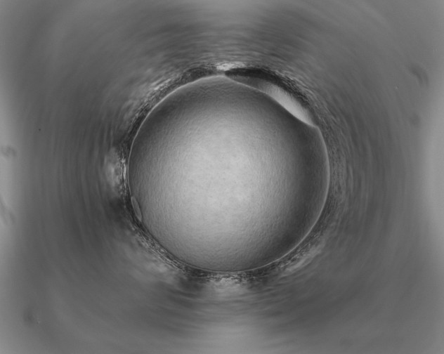 X0000091100624200708061421