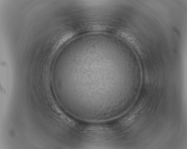 X0000091100625200708061420