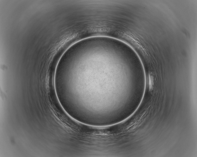 X0000091100627200708061420