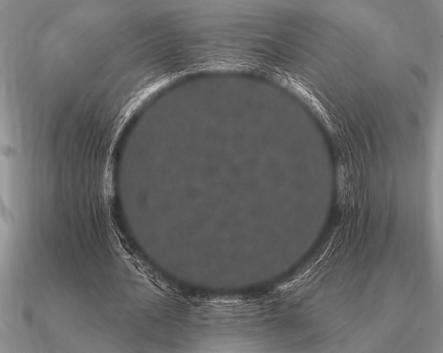 X0000091100628200708061420