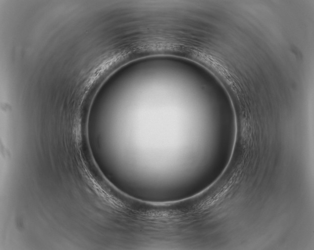 X0000091100629200708061420