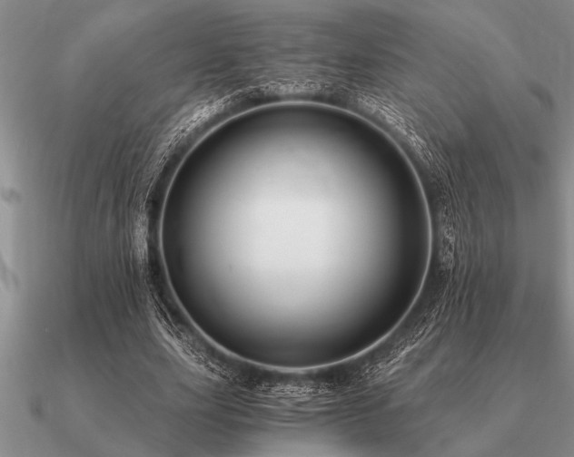 X0000091100631200708061420