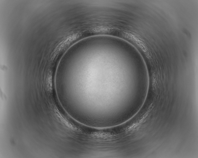 X0000091100633200708061420