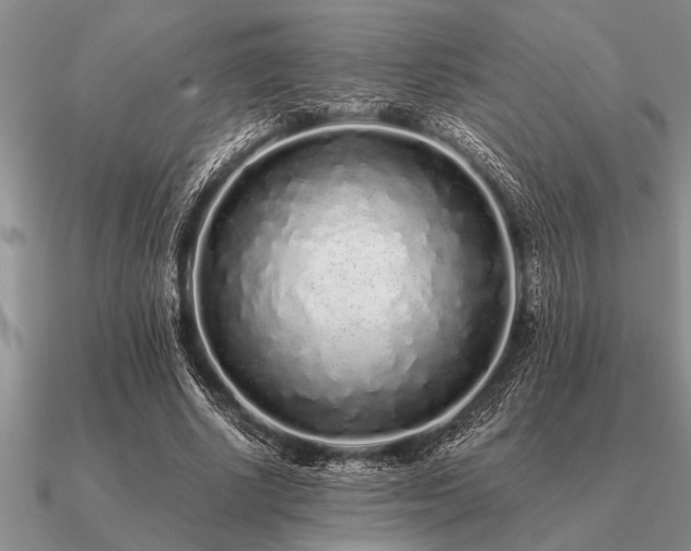 X0000091100634200708061421