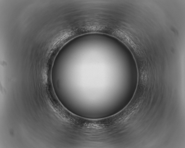 X0000091100635200708061421