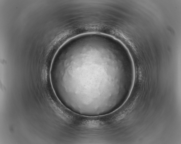 X0000091100637200708061421