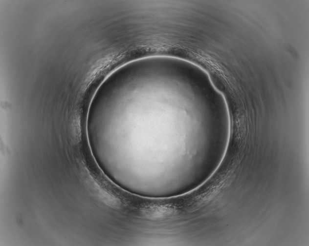 X0000091100638200708061421