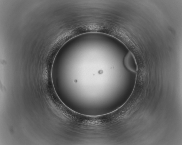 X0000091100639200708061421