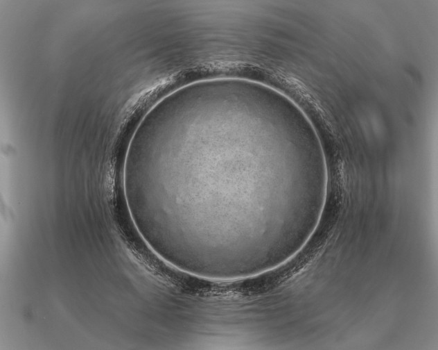 X0000091100640200708061421