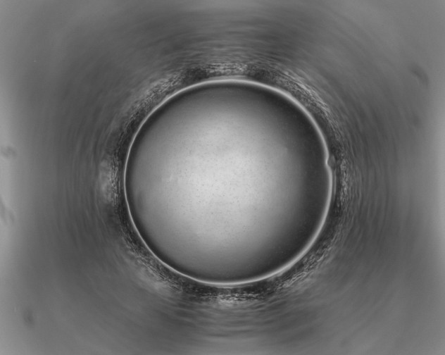 X0000091100641200708061421