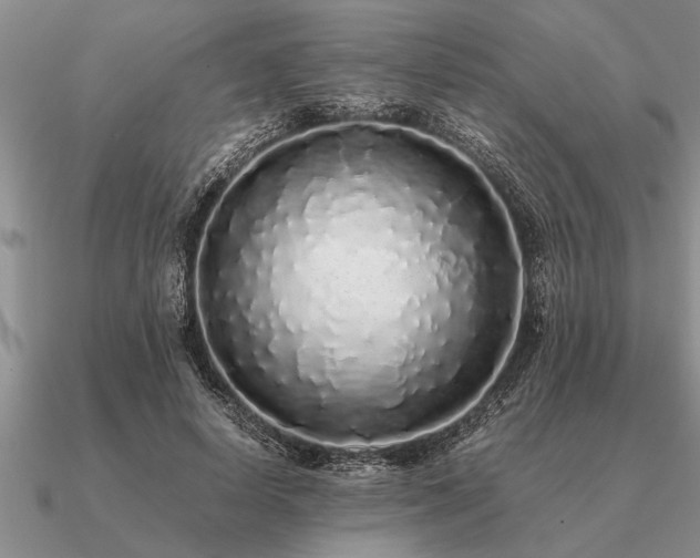 X0000091100642200708061421