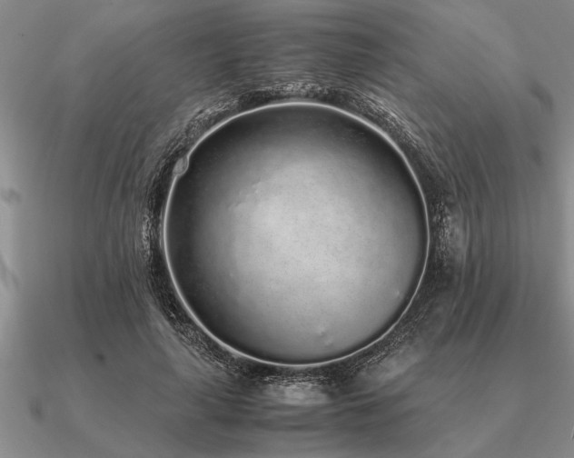 X0000091100643200708061421