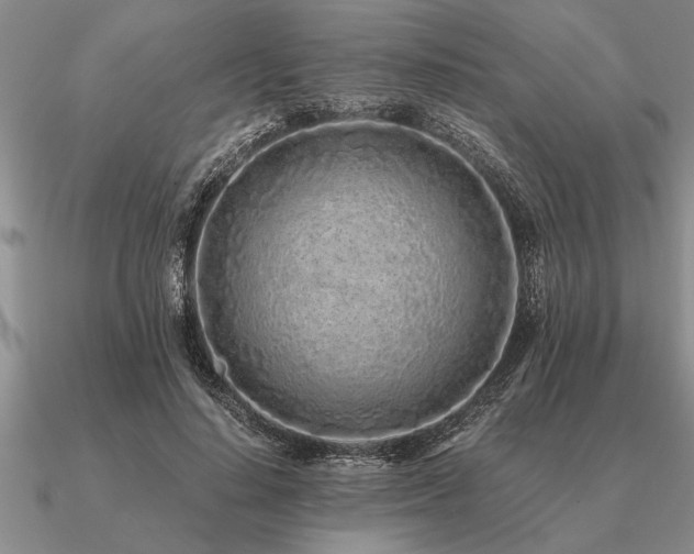 X0000091100644200708061421