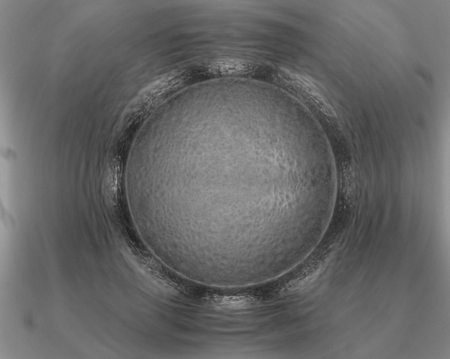 X0000091100645200708061421