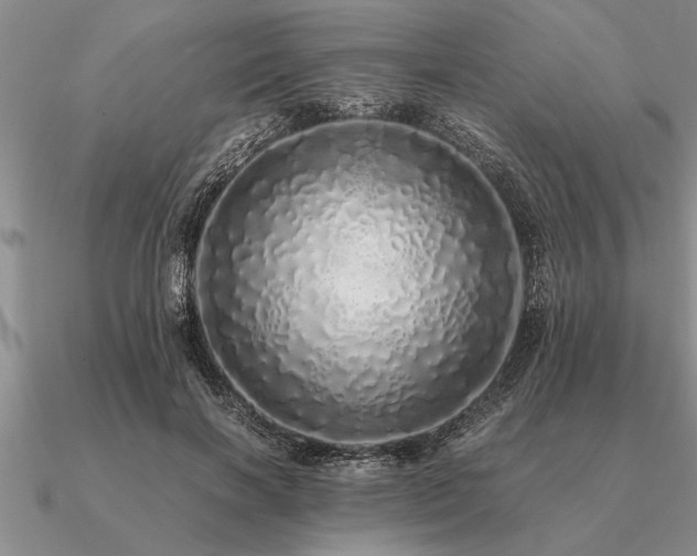 X0000091100646200708061421