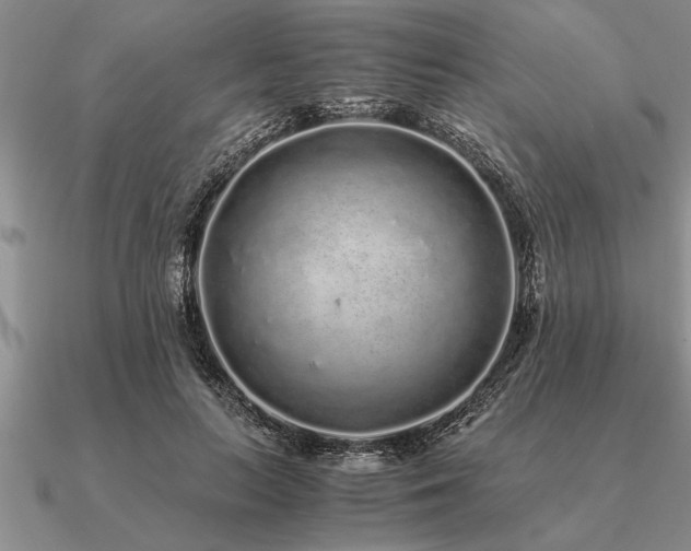 X0000091100647200708061421