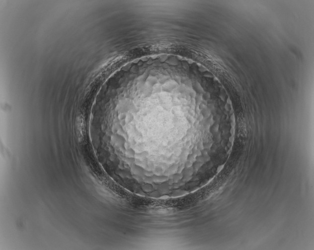 X0000091100648200708061421