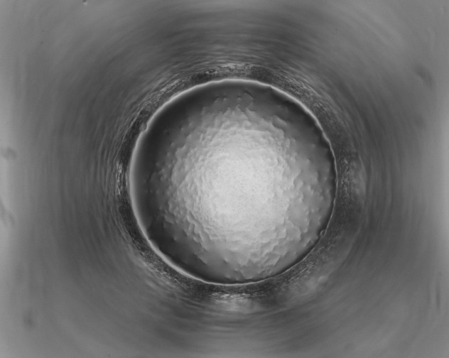 X0000091100649200708061421