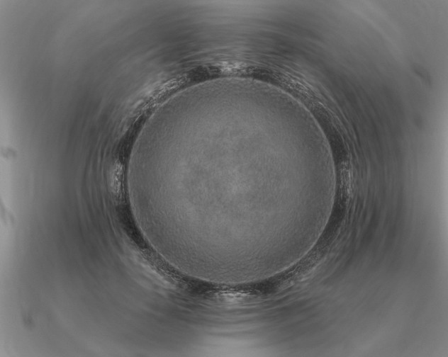 X0000091100650200708061421