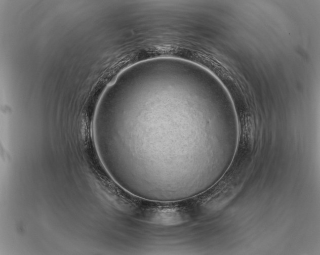 X0000091100651200708061421