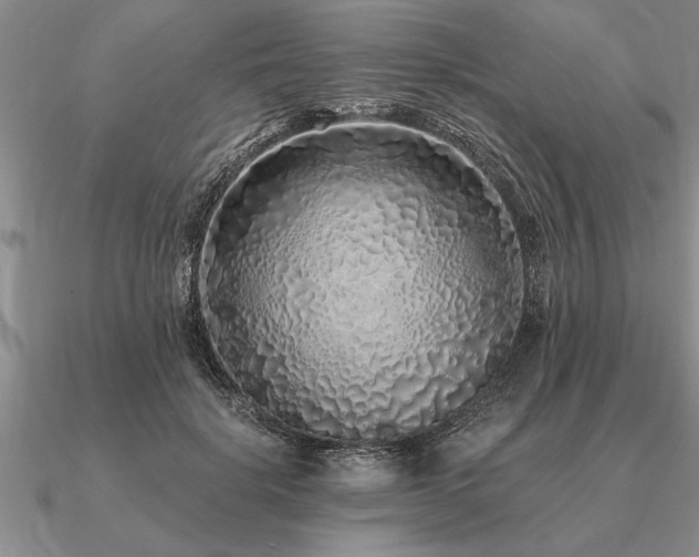 X0000091100652200708061421