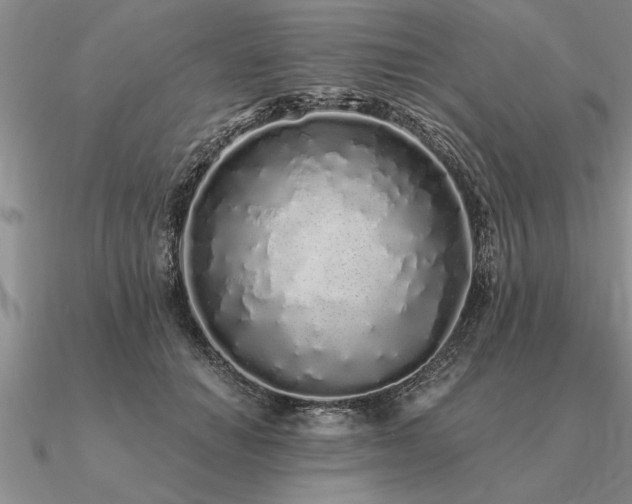 X0000091100654200708061421