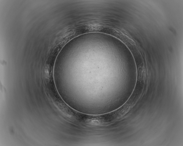 X0000091100655200708061421