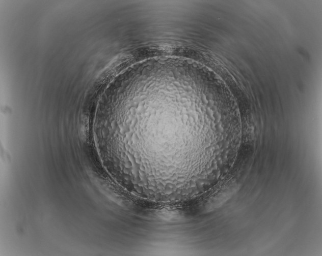 X0000091100656200708061421