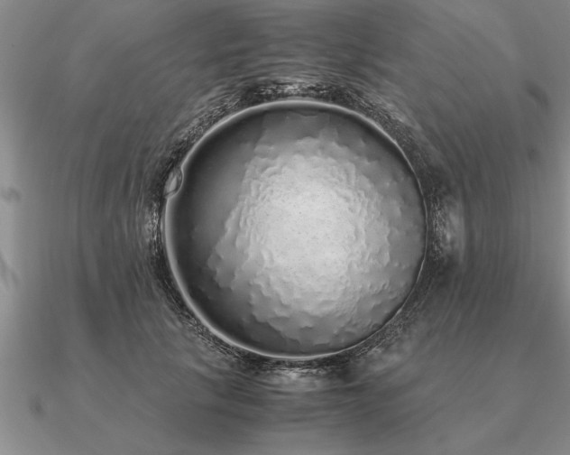 X0000091100657200708061421