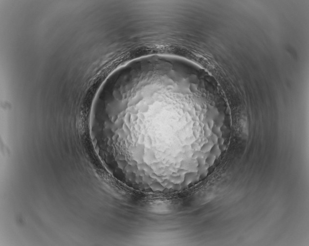 X0000091100658200708061421