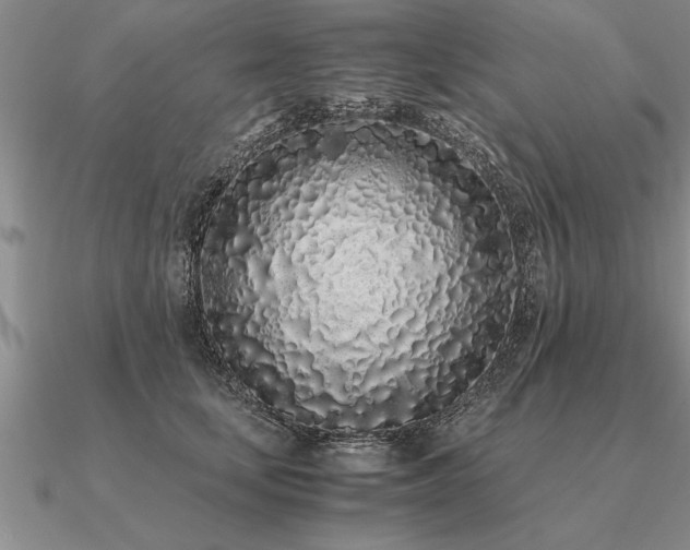 X0000091100659200708061421