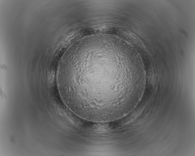 X0000091100660200708061421