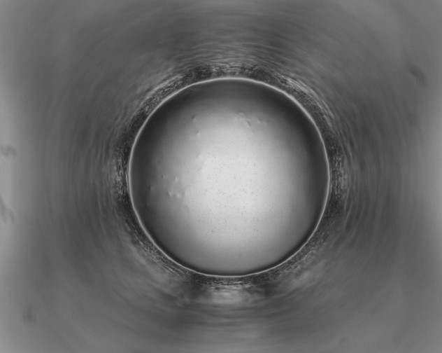 X0000091100661200708061421