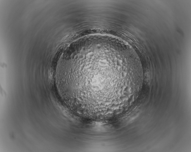 X0000091100662200708061421