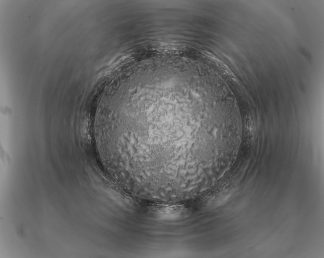 X0000091100663200708061421