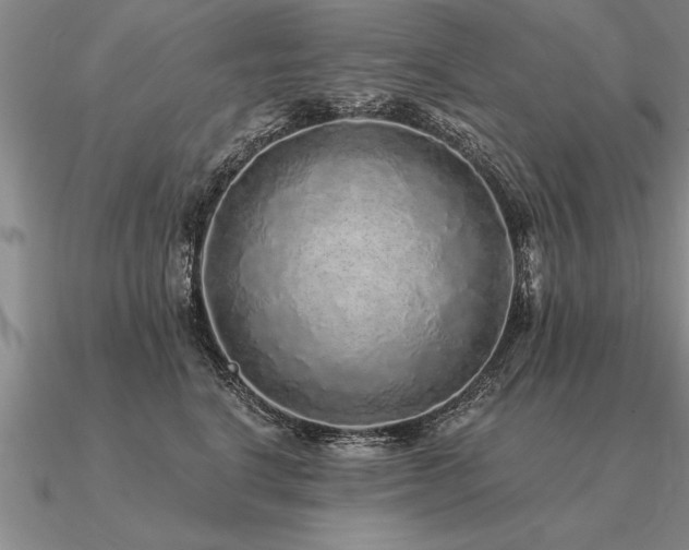 X0000091100664200708061421