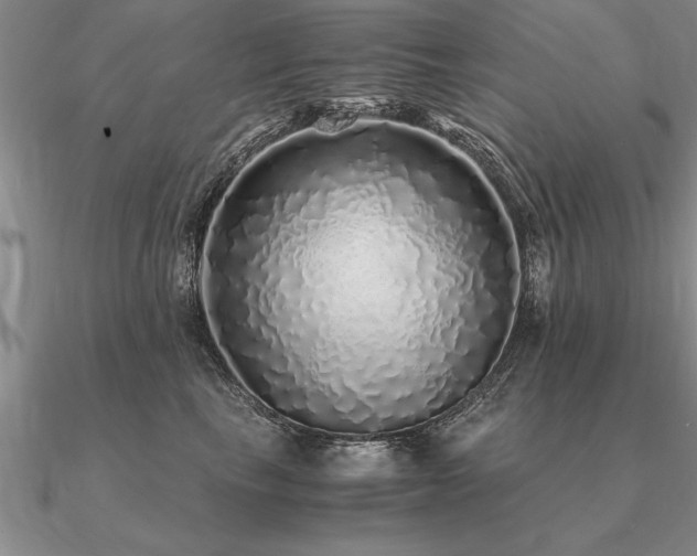 X0000091100665200708061421