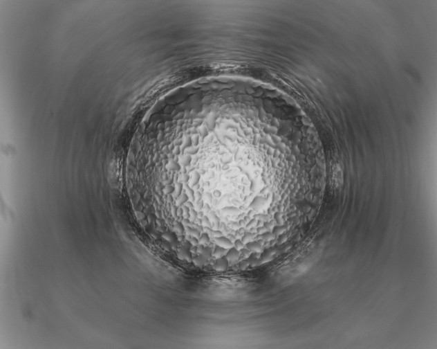 X0000091100666200708061421