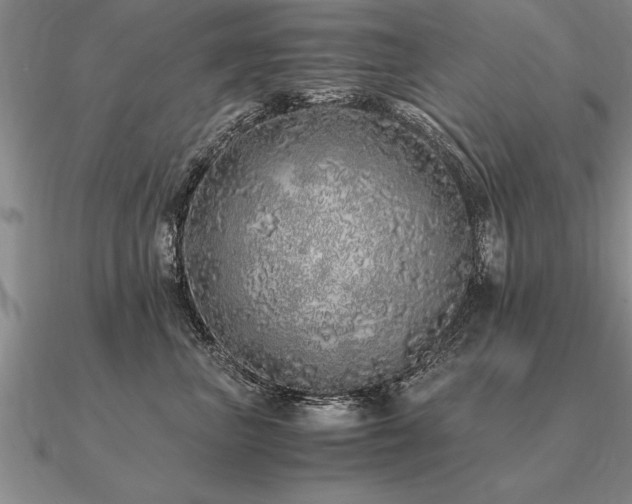 X0000091100667200708061421