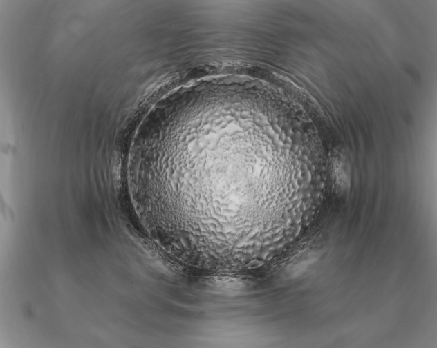 X0000091100668200708061421