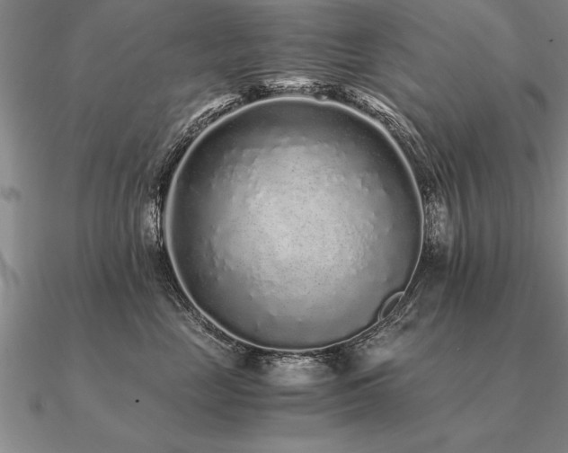 X0000091100669200708061421