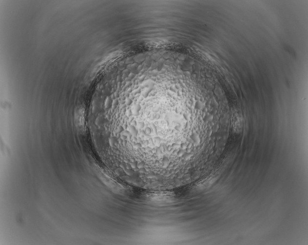 X0000091100670200708061421