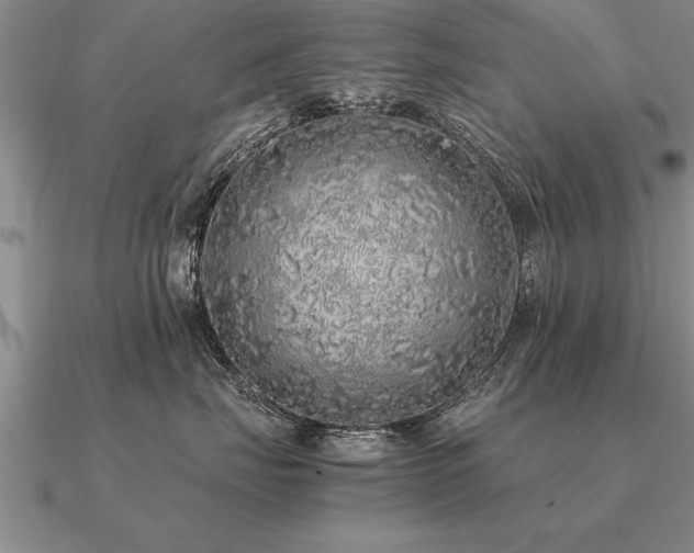 X0000091100671200708061421