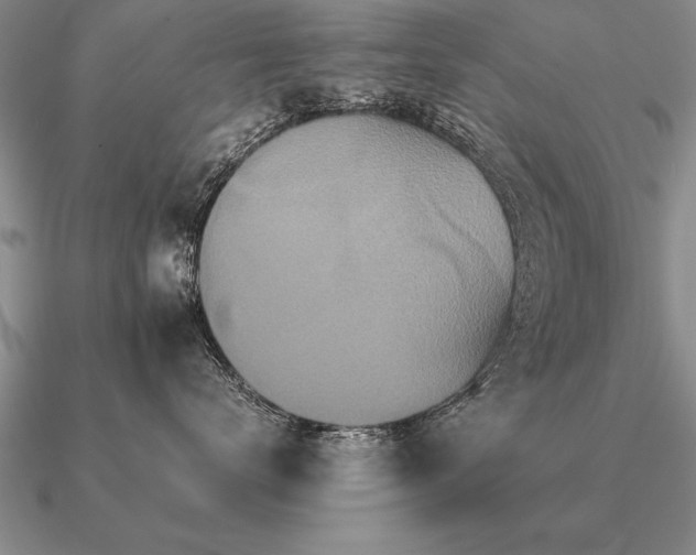 X0000091100672200708061421